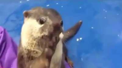 Could you please caress my head?