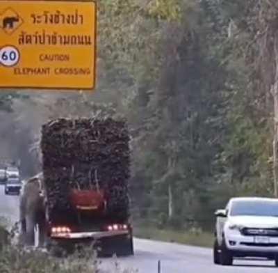 pare senhor🖐️🖐️🖐️, tem que pagar a taxa