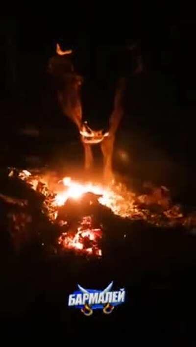 He likes his grass well done