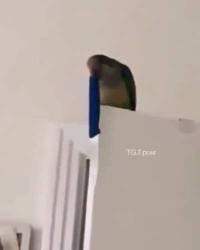 Initiate aerial attack!