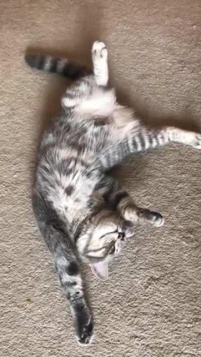 Where is the reset button located?