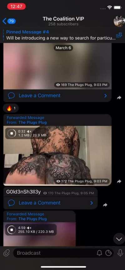 💫EVERY DM of EVERY BAD CHICK for life NO monthly fees. JOIN VIP today! Be payment ready