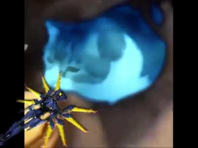 This cheeseburger... to hold... ME??