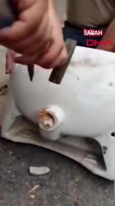 A kitten stuck in the toilet was later pulled out.