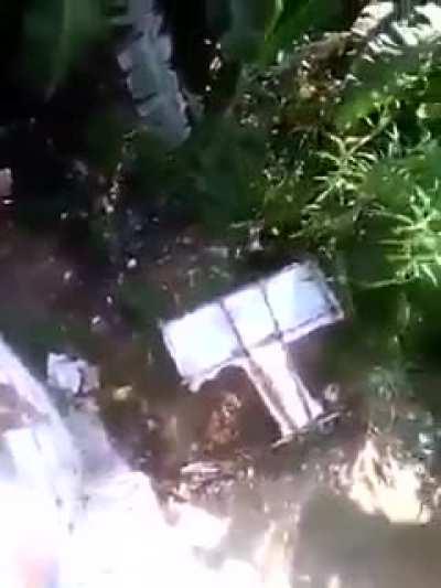 HMB while I fly like an eagle