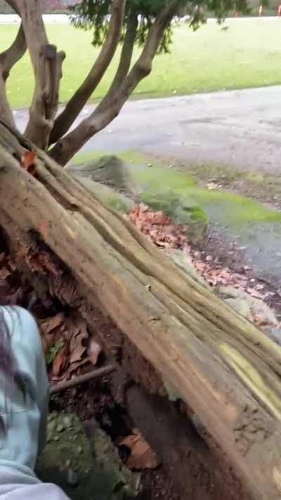 We like adventure!! 🤩 [GIF]