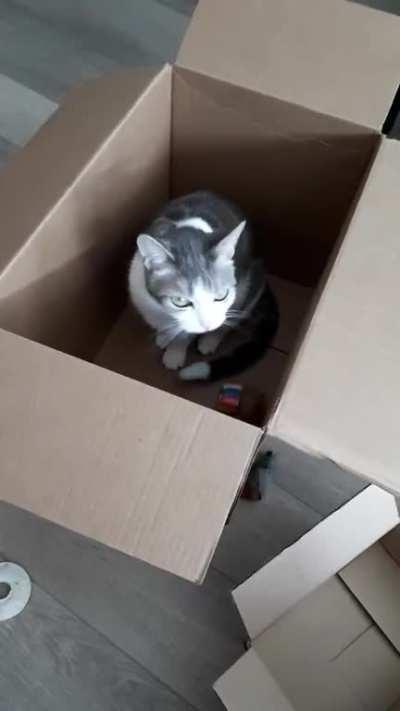 This is her way of trying to get me to play