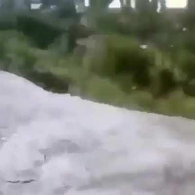 This man should go buy a lottery ticket