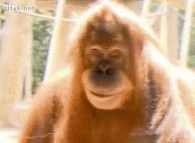 When my wife tells people how good I am at trading stocks