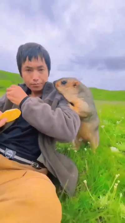 This is why I pay for the internet