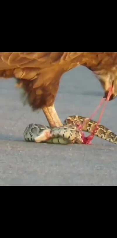 Esto parece familiar...