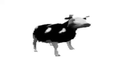 No I&rsquo;m not depressed, I don&rsquo;t have cancer, I didn&rsquo;t get a GF, you can&rsquo;t see me on go fund me and I haven&rsquo;t achieved anything special. All I can offer you is Č&Oslash;W