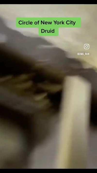 NYC druids are wreaking havoc