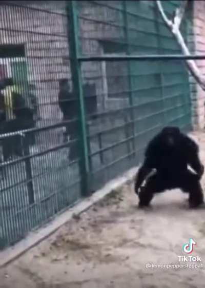 GANG SHIT GANG SHIT GANG SHIT GANG SHIT