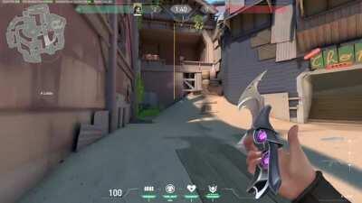 New Sage Wall on Breeze That Traps People Who Take the Trap Door