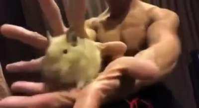 This is how Henry hits on women... Jeannie never stood a chance.