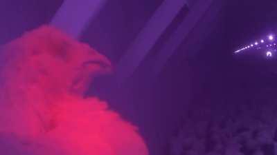 Undercover investigation reveals horrific production practices used by industry giant Tyson Foods