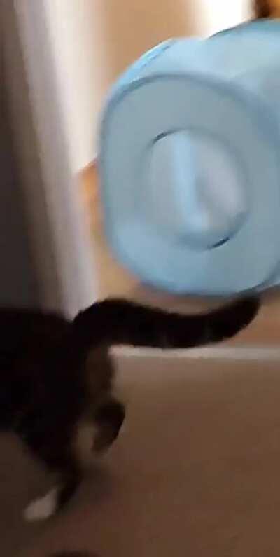 A greeble attacked her