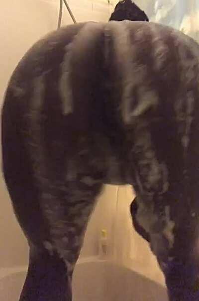 can i fuck you in the shower?