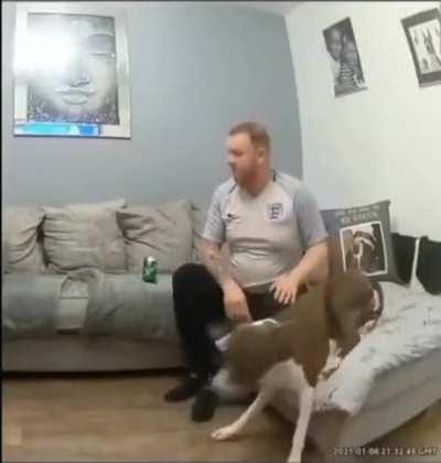 His dog prank him, dude almost crying, damn