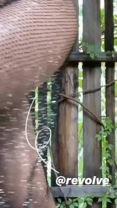 Close Up Bikini Body