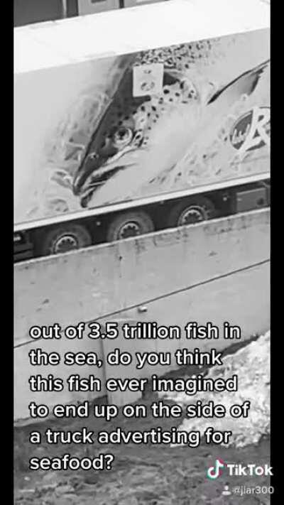 ive been asking real questions out here