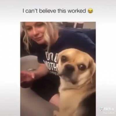 It Happens In Animals Too :P