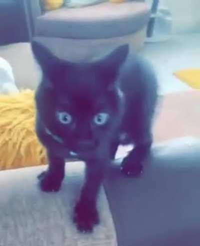 What are you looking at huh?