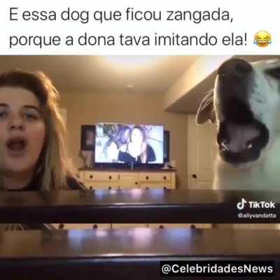 O melhor desse vídeo é a patada que o cachorro dá na menina no final