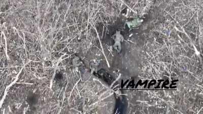 Russian soldiers defending trench line, among fallen Russians, hit by double grenade drop from UA drone