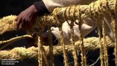 Making a bridge out of grass