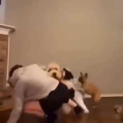 10 seconds after you enter any level