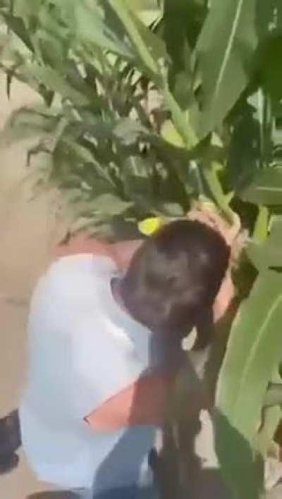 Me when i see Rainbow road