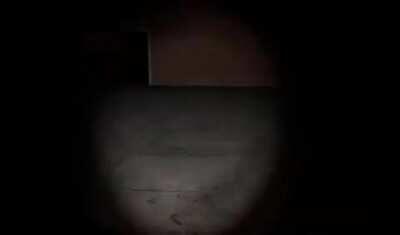 POV: You're a mercenary dog in AC 432