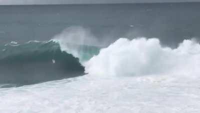 This bloke scored and absolute gem this morning