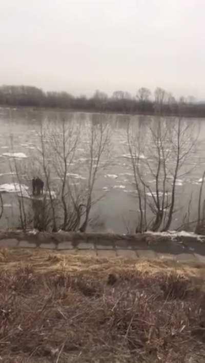 Dudes when the bus tickets get too expensive