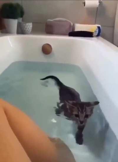 I jump into water for you