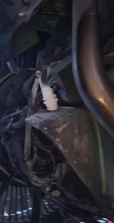 The aftermath of a bird strike