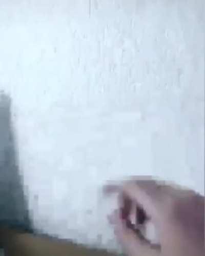 Mira lo que te hizo la pepa😔😔 despierta porfavor