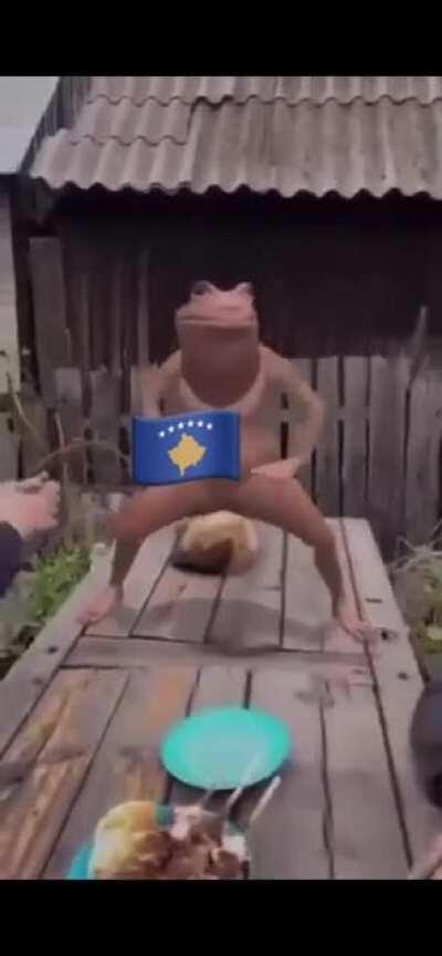 Let me introduce you to Kosovarski Frogski🐸