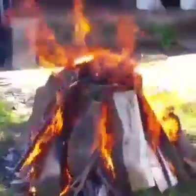 Delicious BBQ Chicken with a lot of fire.