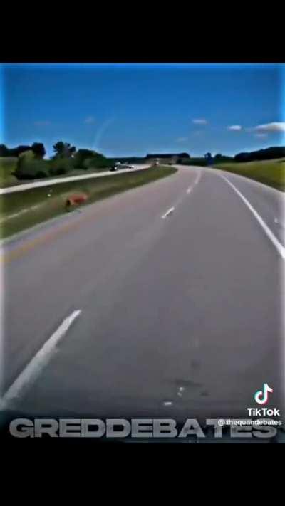 cum on feel the noize