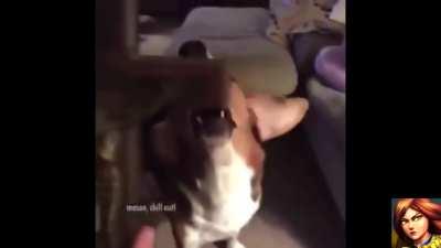 All Paladins champions described with random MEMES - Part #1 idk