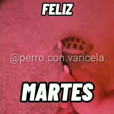 Solo queria desearles un FELIZ MARTES :D