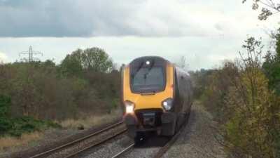 Screw you bird, I'm a train...