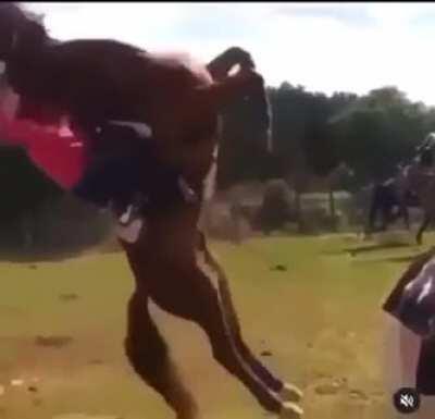 Jake Paul&rsquo;s next opponent?