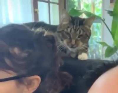 When you're being a pain in the ass and then you realize you're on camera