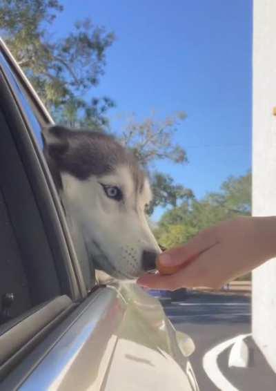 Open the door of the car, let me give her a life-long lesson