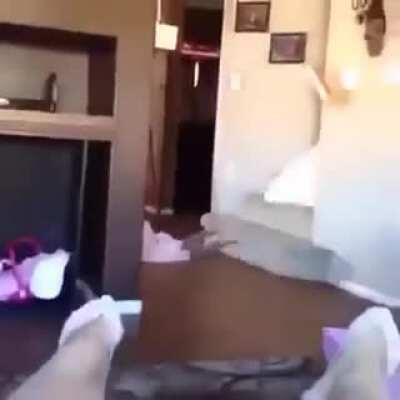 Kid tries to surf with mattress down the stairs