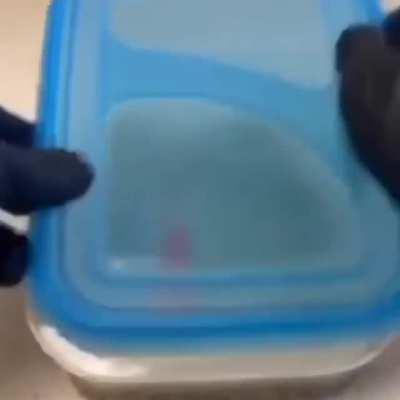 Mystery of oompas banana has been revealed